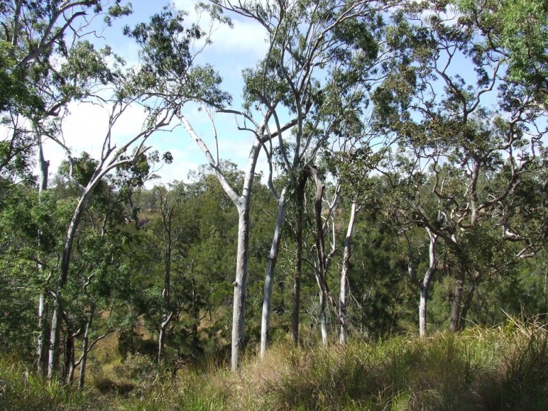 Ravenshoe QLD 4888
