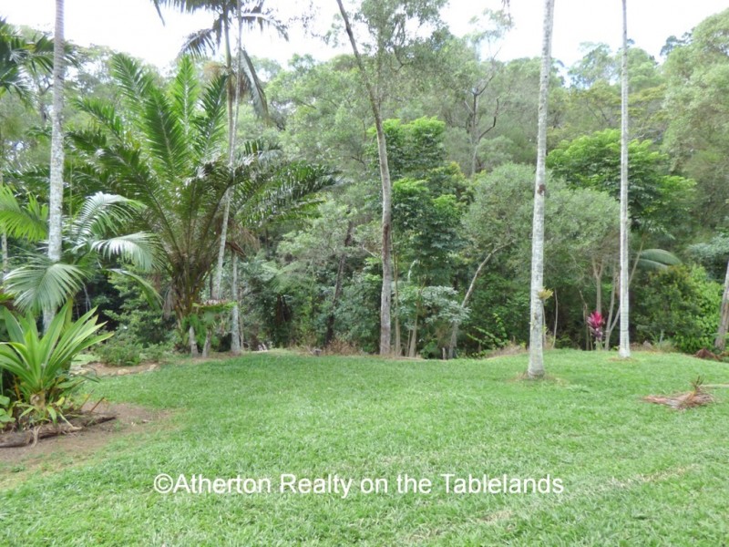 Lake Eacham QLD 4884