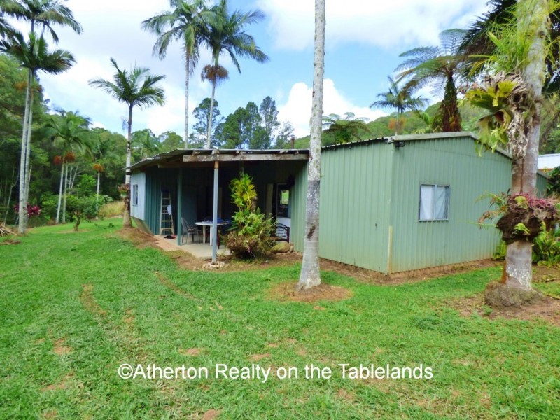 Lake Eacham QLD 4884