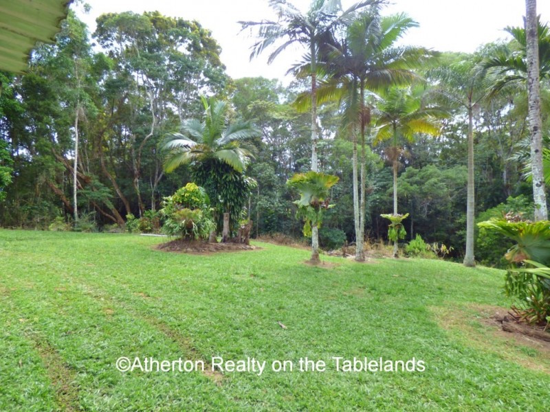 Lake Eacham QLD 4884