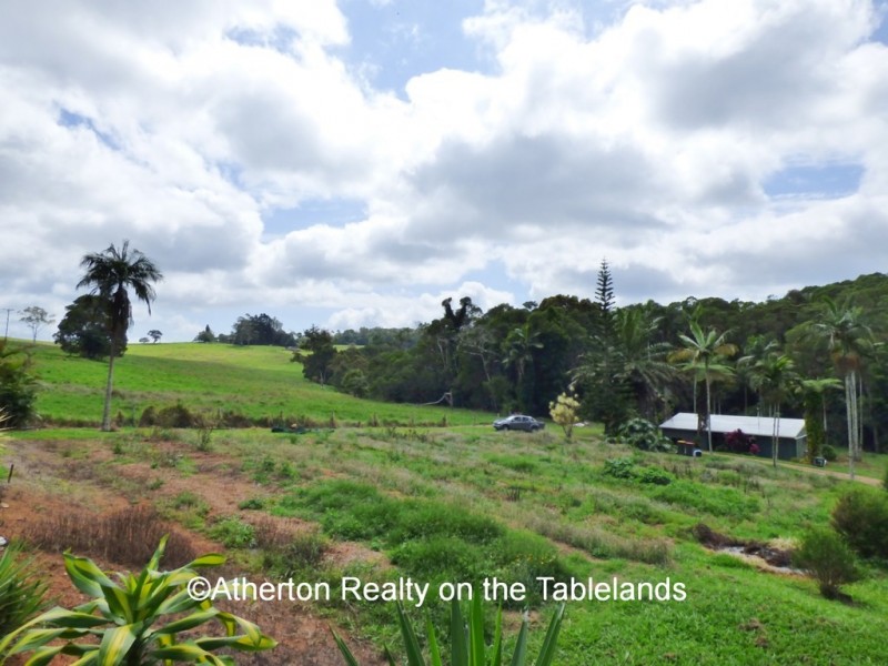 Lake Eacham QLD 4884