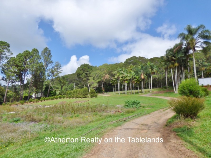 Lake Eacham QLD 4884