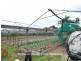 Tolga QLD 4882