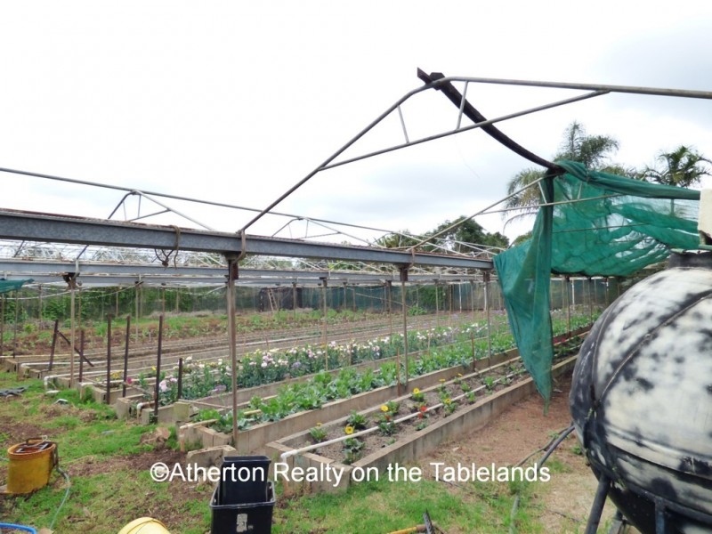 Tolga QLD 4882