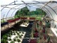 Malanda QLD 4885