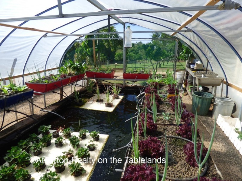 Malanda QLD 4885