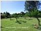 Malanda QLD 4885