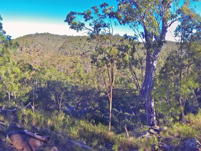 902 Park Lane, Millstream QLD 4888
