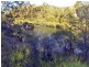 902 Park Lane, Millstream QLD 4888