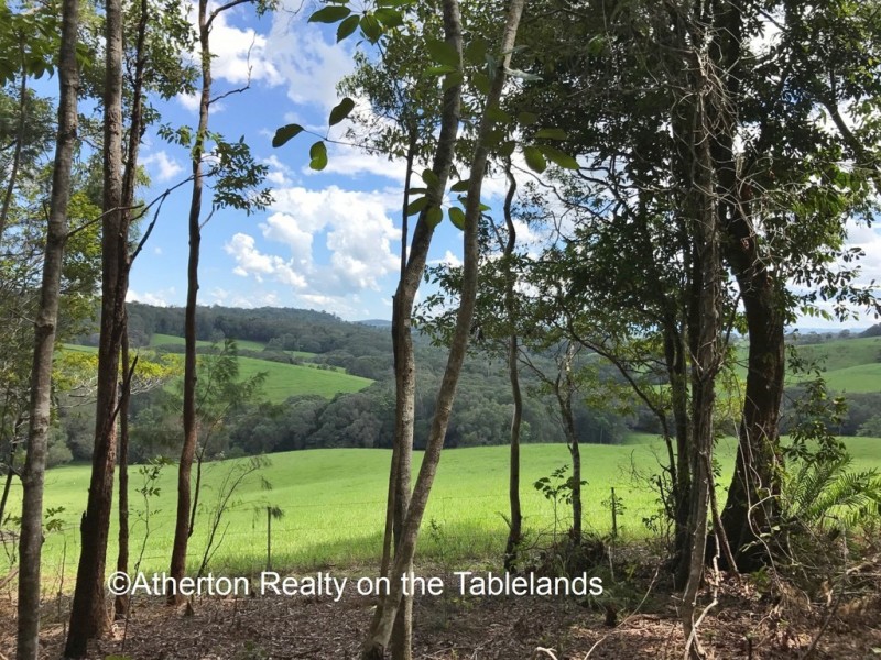 Yungaburra QLD 4884