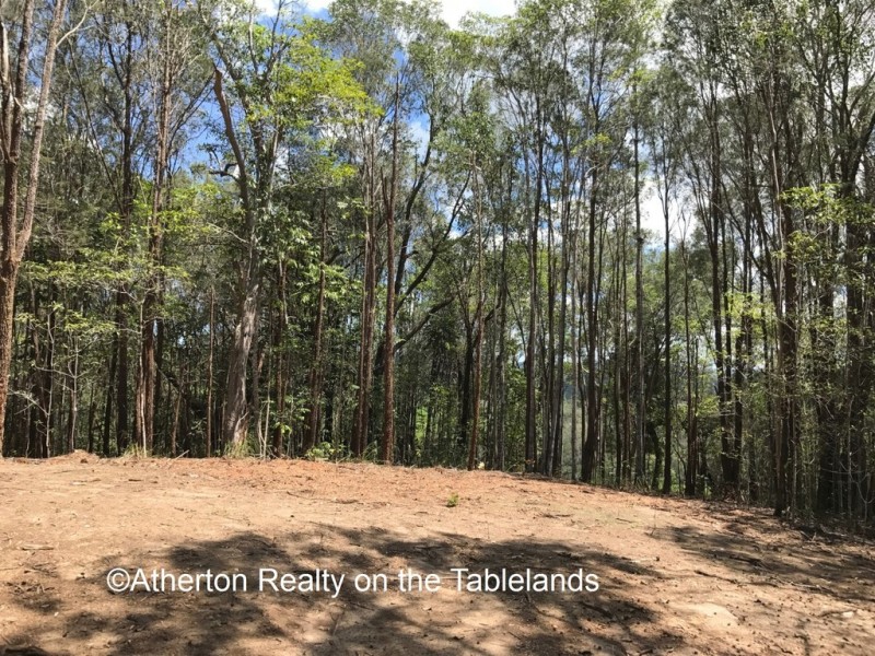 Yungaburra QLD 4884