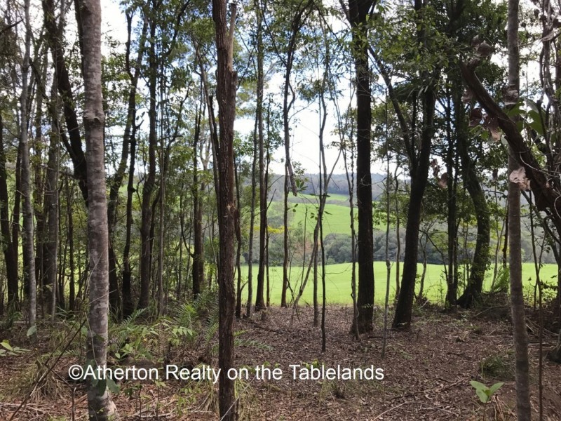 Yungaburra QLD 4884