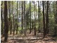 Yungaburra QLD 4884