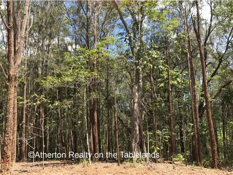 Yungaburra QLD 4884