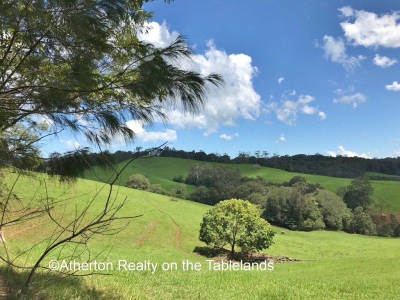 Yungaburra QLD 4884