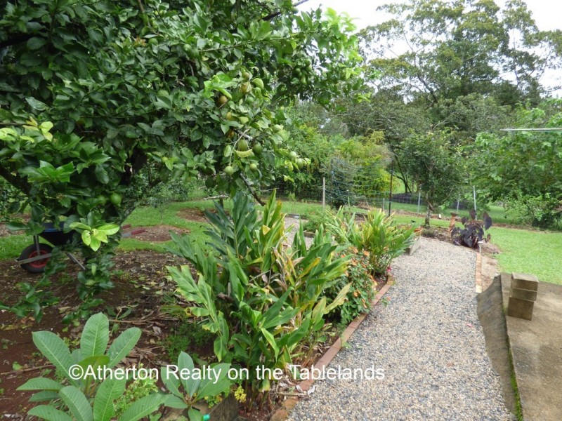 Millaa Millaa QLD 4886