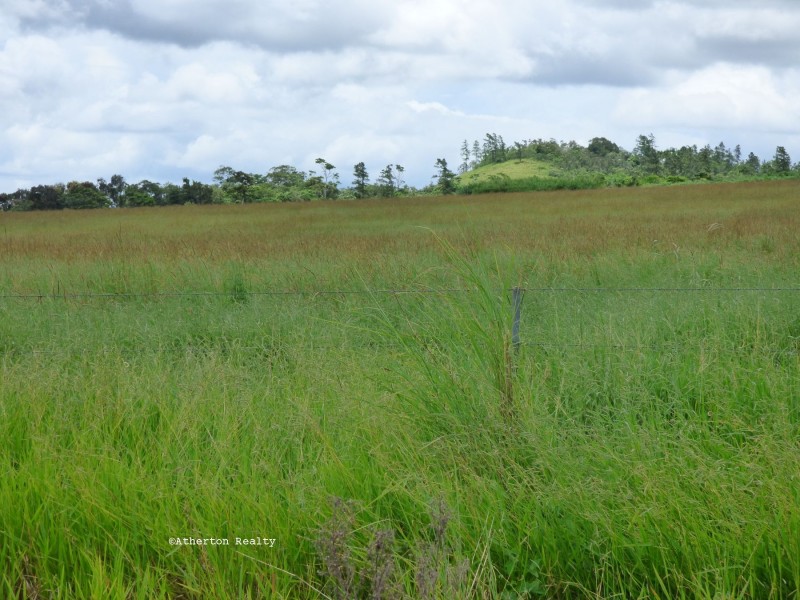 Tolga QLD 4882