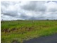 Tolga QLD 4882