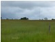 Tolga QLD 4882