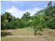 Yungaburra QLD 4884