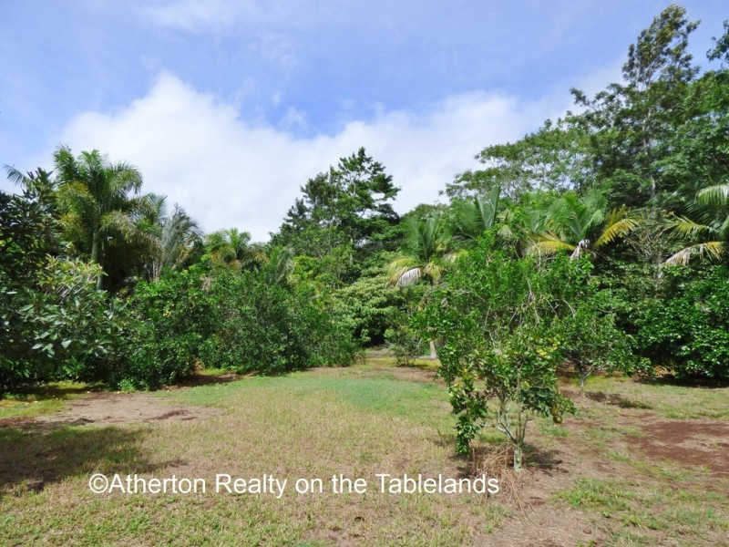 Yungaburra QLD 4884