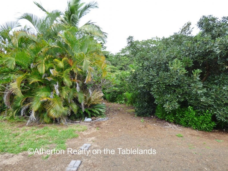 Yungaburra QLD 4884