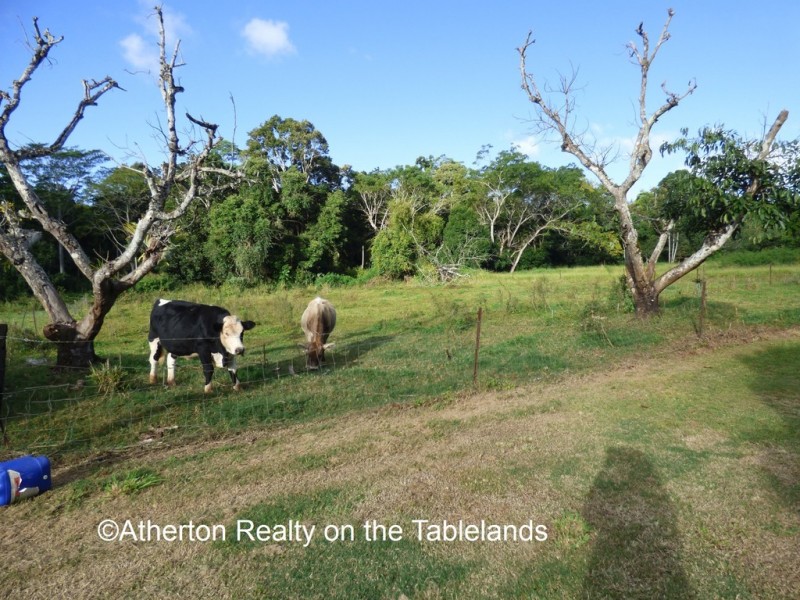 Malanda QLD 4885