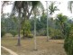 Atherton QLD 4883