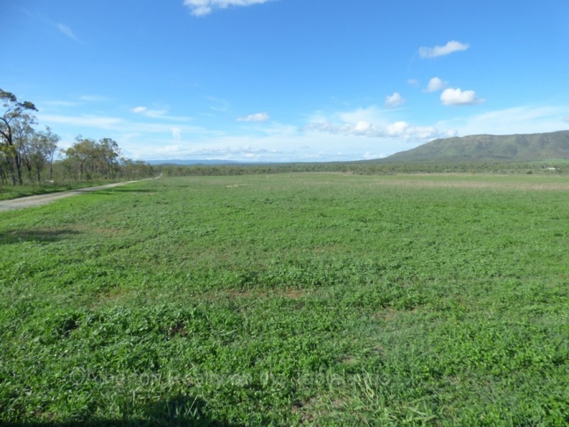 Mareeba QLD 4880