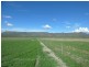 Mareeba QLD 4880