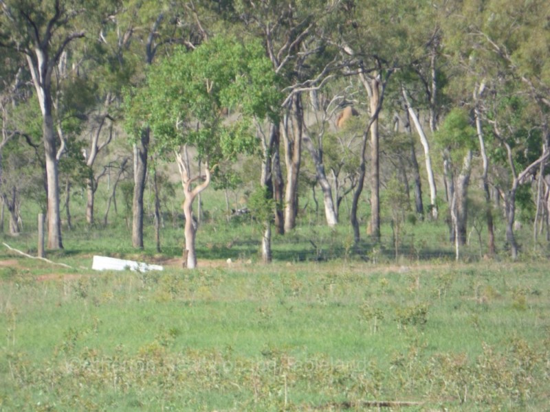 Mareeba QLD 4880