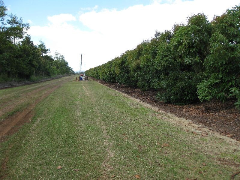 East Barron QLD 4883