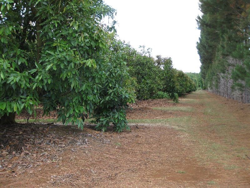 East Barron QLD 4883