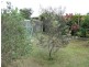 Atherton QLD 4883