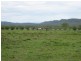 Mutchilba QLD 4872