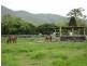 Mutchilba QLD 4872