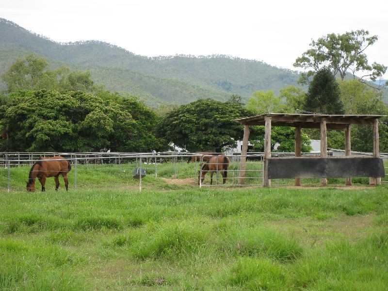 Mutchilba QLD 4872