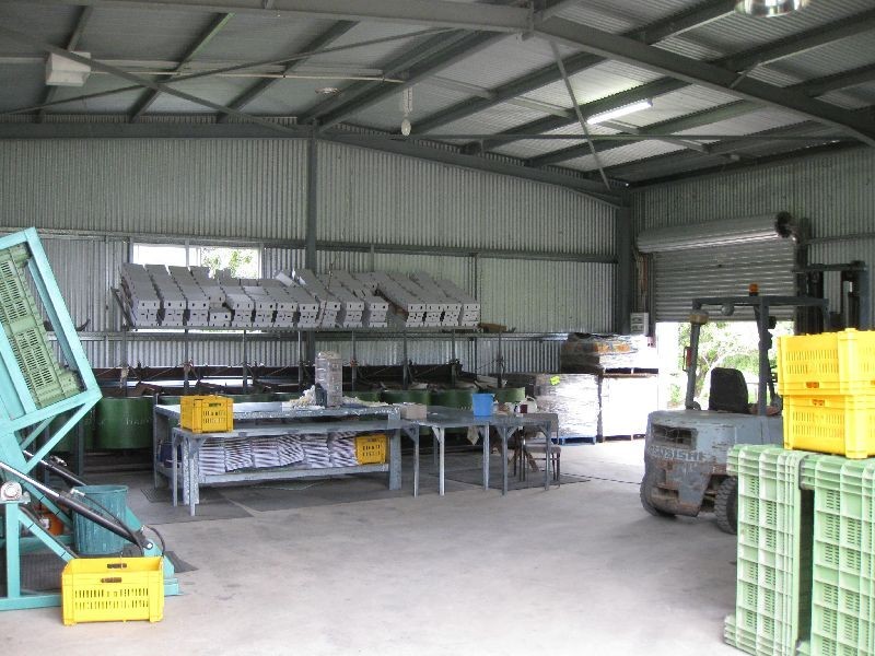 Mutchilba QLD 4872