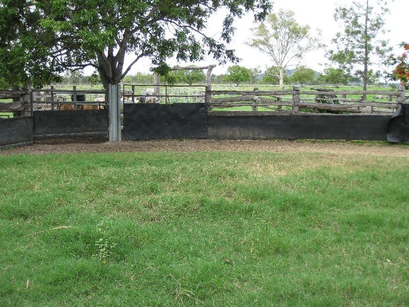 Mutchilba QLD 4872