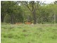 Mutchilba QLD 4872