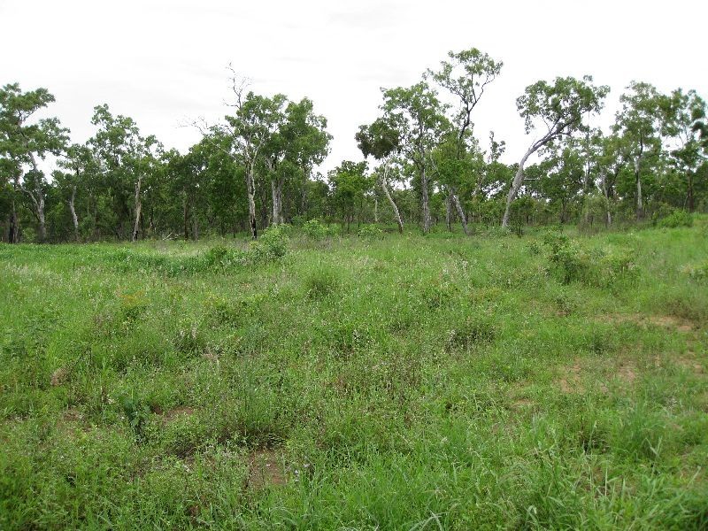 Dimbulah QLD 4872