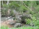 Dimbulah QLD 4872