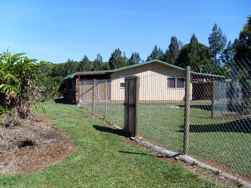 Lake Eacham QLD 4884