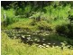 Wondecla QLD 4887