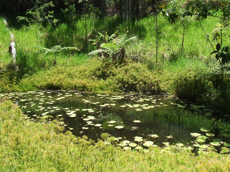 Wondecla QLD 4887