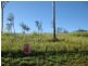 Tolga QLD 4882