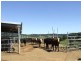 Upper Barron QLD 4883
