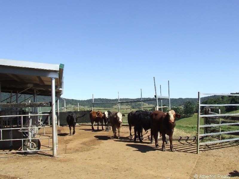 Upper Barron QLD 4883
