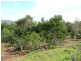 Tolga QLD 4882