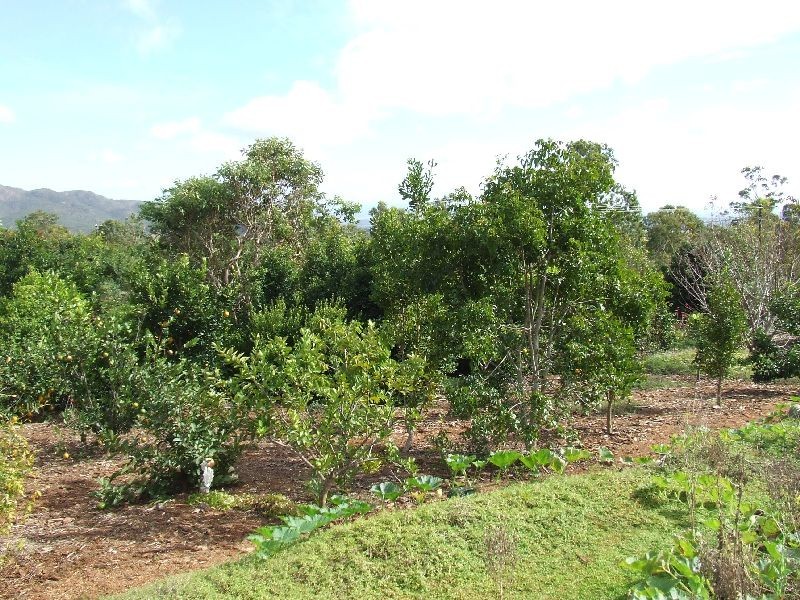 Tolga QLD 4882